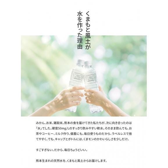 シリカ含有 天然水 水 500ml 45本 熊本イオン純天然水 水 ミネラルウォーター  送料無料 飲料水 くまモン 保存水 防災 天然水 《8月中旬-9月中旬頃より発送予定》》03