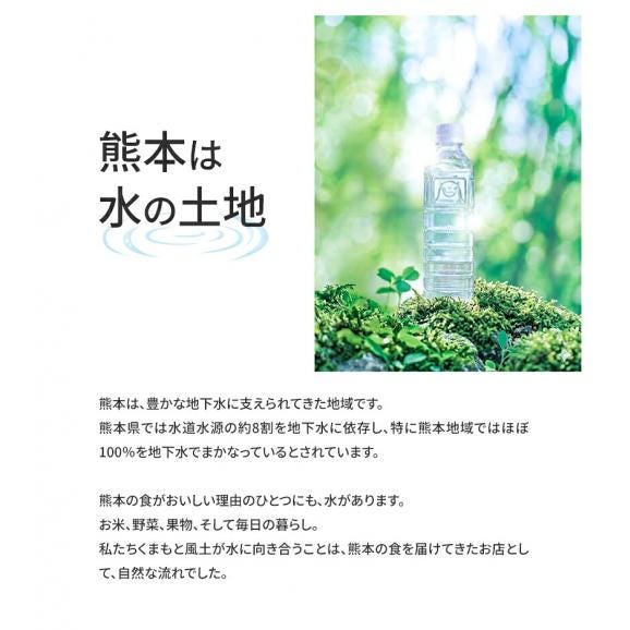 シリカ含有 天然水 水 500ml 45本 熊本イオン純天然水 水 ミネラルウォーター  送料無料 飲料水 くまモン 保存水 防災 天然水 《8月中旬-9月中旬頃より発送予定》》04