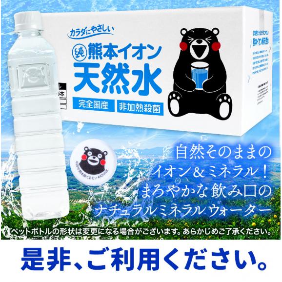 水 ミネラルウォーター 500ml 45本 熊本イオン純天然水 飲料水 水 ケース 一箱 ラベルレス くまモン 保存水 保存食 防災 熊本県 天然水 軟水 《1-3営業日以内に発送(土日祝除く)》05