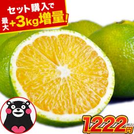 【セット購入で最大+3kgおまけ付き！】 スイートスプリング 1.5kg 訳あり 熊本県産 送料無料 旬 の みかん 熊本産 取り寄せ 通販 《3‐7営業日以内に発送予定（土日祝除く））》