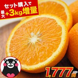 【セット購入で最大+3kgおまけ付き！】 スイートスプリング 1.5kg 訳あり 熊本県産 送料無料 旬 の みかん 熊本産 取り寄せ 通販 《1-5営業日以内に出荷予定（土日祝日除く）》