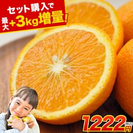 希少品種 スイートスプリング 柑橘 果物 スイスプ 旬 の みかん 柑橘 温州みかん 八朔柑 新感覚