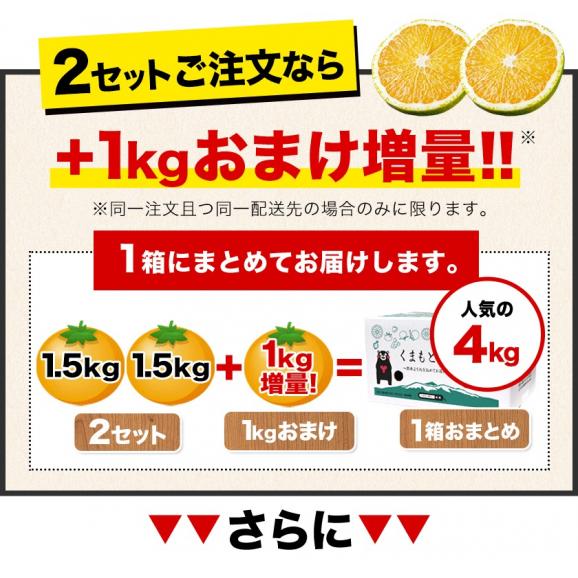【セット購入で最大+3kgおまけ付き！】 スイートスプリング 1.5kg 訳あり 熊本県産 送料無料 旬 の みかん 熊本産 取り寄せ 通販 《1-5営業日以内に出荷予定（土日祝日除く）》02