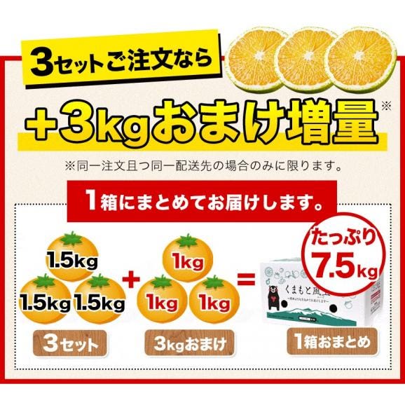 【セット購入で最大+3kgおまけ付き！】 スイートスプリング 1.5kg 訳あり 熊本県産 送料無料 旬 の みかん 熊本産 取り寄せ 通販 《1-5営業日以内に出荷予定（土日祝日除く）》03