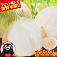 【3セット購入で3セット分おまけ付き！】 熊本県産 サラたまちゃん 訳あり 送料無料 1.5kg たまねぎ 玉ねぎ タマネギ 熊本 野菜   《1-5営業日以内に出荷予定(土日祝日除く)》