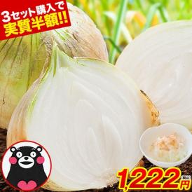 【3セット購入で3セット分おまけ付き！】 熊本県産 サラたまちゃん 訳あり 送料無料 1.5kg たまねぎ 玉ねぎ タマネギ 熊本 野菜   《1-5営業日以内に出荷予定(土日祝日除く)》