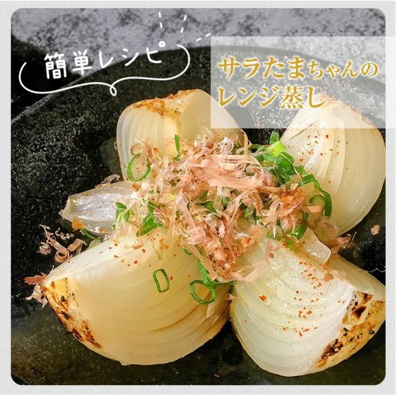 【3セット購入で3セット分おまけ付き！】 熊本県産 サラたまちゃん 訳あり 送料無料 1.5kg たまねぎ 玉ねぎ タマネギ 熊本 野菜   《1-5営業日以内に出荷予定(土日祝日除く)》05