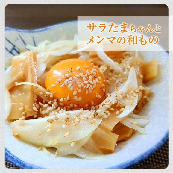 【3セット購入で3セット分おまけ付き！】 熊本県産 サラたまちゃん 訳あり 送料無料 1.5kg たまねぎ 玉ねぎ タマネギ 熊本 野菜   《1-5営業日以内に出荷予定(土日祝日除く)》06