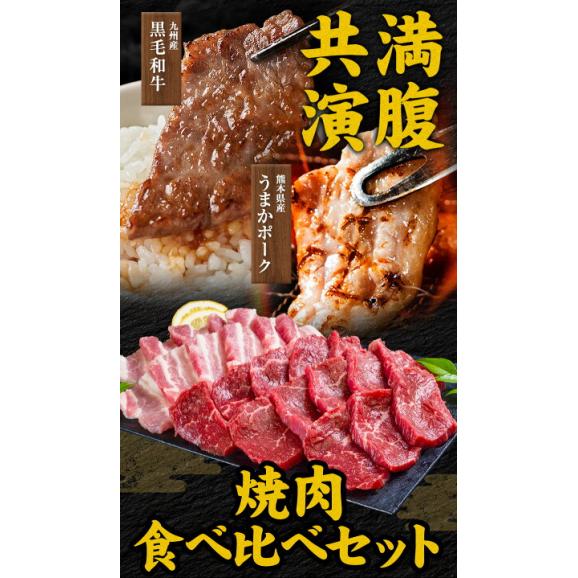 焼肉 食べ比べセット 黒毛和牛 豚肉  500g 焼肉セット BBQ 国産 送料無料 九州産 まとめ買い 焼肉 肉 お肉 ウデ モモ 赤身 うまかポーク バラ肉  《7-14営業日以内に発送予定》02