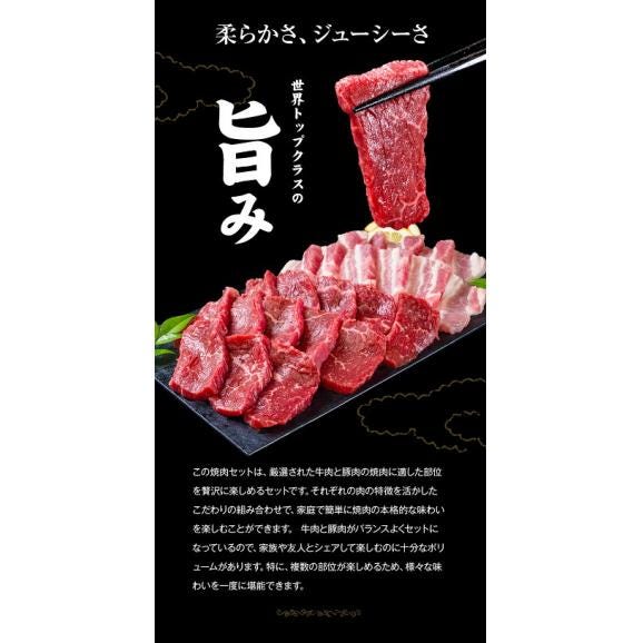 焼肉 食べ比べセット 黒毛和牛 豚肉  500g 焼肉セット BBQ 国産 送料無料 九州産 まとめ買い 焼肉 肉 お肉 ウデ モモ 赤身 うまかポーク バラ肉  《7-14営業日以内に発送予定》04