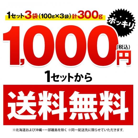芋けんぴ 計300g(100g×3袋) 送料無料 1000円ポッキリ 便利な 小分け 芋ケンピ スイーツ 和菓子 個包装 かりんとう 芋 さつまいも お菓子 国産 おやつ 《1-5営業日以内にお届け02
