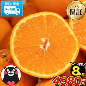 あの デコポン と同品種　デコみかん なんと 8kg 最安値に挑戦！ 