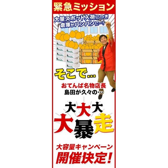 【大容量★1kgあたり331円！】 熊本県産 訳あり デコみかん 9kg 大容量 送料無料 不知火 みかん ミカン デコポン 同品種 熊本 柑橘 《1-5営業日以内に出荷予定（土日祝日を除く）》02