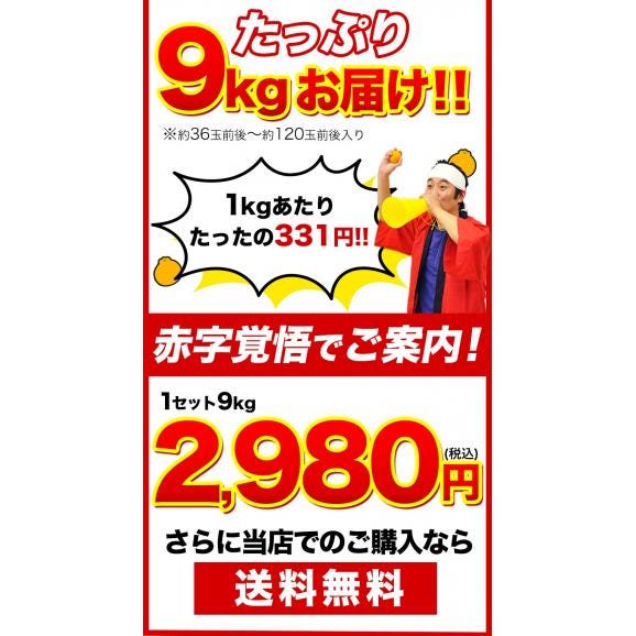 【大容量★1kgあたり331円！】 熊本県産 訳あり デコみかん 9kg 大容量 送料無料 不知火 みかん ミカン デコポン 同品種 熊本 柑橘 《1-5営業日以内に出荷予定（土日祝日を除く）》03