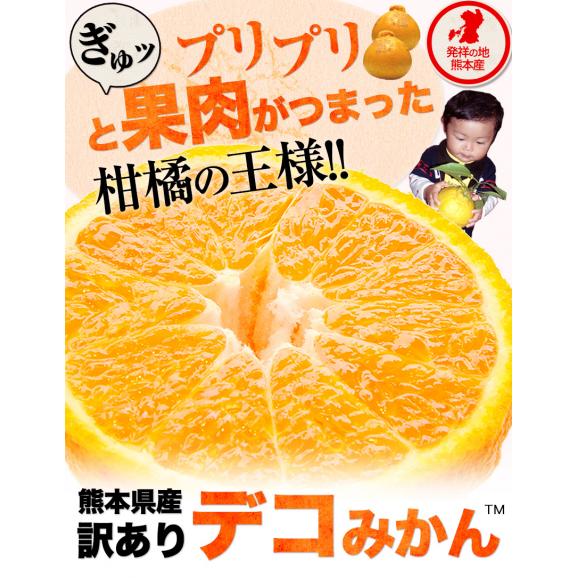 【大容量★1kgあたり331円！】 熊本県産 訳あり デコみかん 9kg 大容量 送料無料 不知火 みかん ミカン デコポン 同品種 熊本 柑橘 《1-5営業日以内に出荷予定（土日祝日を除く）》04