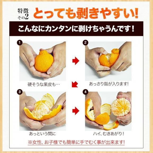 【大容量★1kgあたり331円！】 熊本県産 訳あり デコみかん 9kg 大容量 送料無料 不知火 みかん ミカン デコポン 同品種 熊本 柑橘 《1-5営業日以内に出荷予定（土日祝日を除く）》06