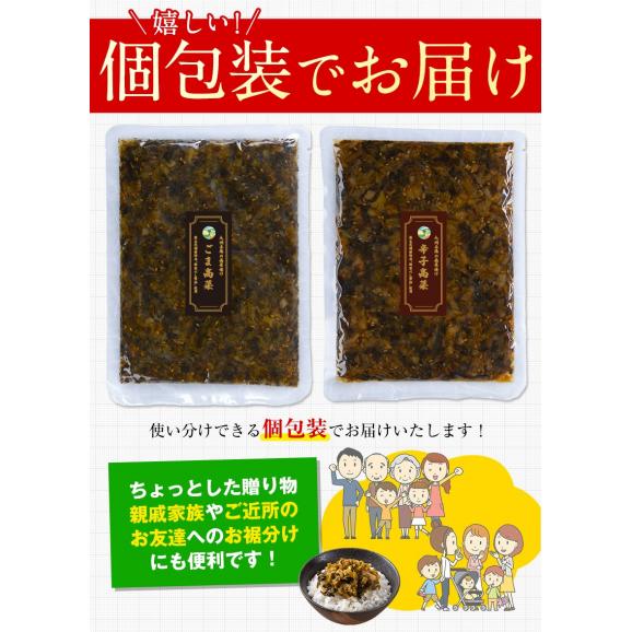 辛子高菜 ごま高菜 2種 食べ比べセット 計 400g 本場 九州産 国産 高菜漬け たかな ご飯のお供 ≪1-5営業日以内に発送予定(土日祝除く)≫02