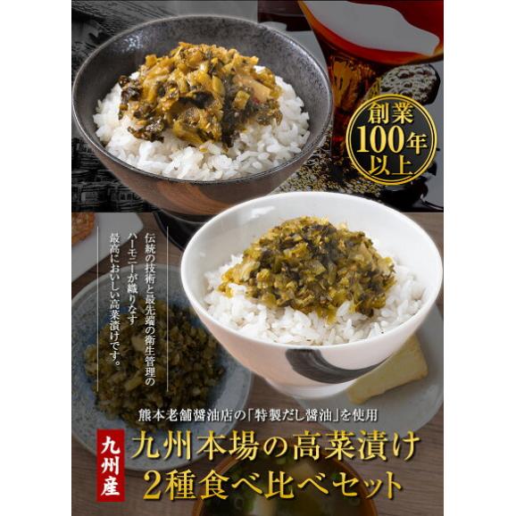 【赤字覚悟★】【賞味期限2026年8月13日】辛子高菜 ごま高菜  2種 食べ比べ 計 400g 九州産 国産  送料無料 高菜チャーハン たかな 漬物   ≪1-5営業日以内に発送予定（土日祝除く）03