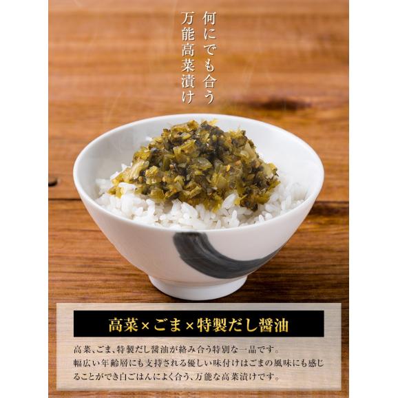 辛子高菜 ごま高菜 2種 食べ比べセット 計 400g 本場 九州産 国産 高菜漬け たかな ご飯のお供 ≪1-5営業日以内に発送予定(土日祝除く)≫03