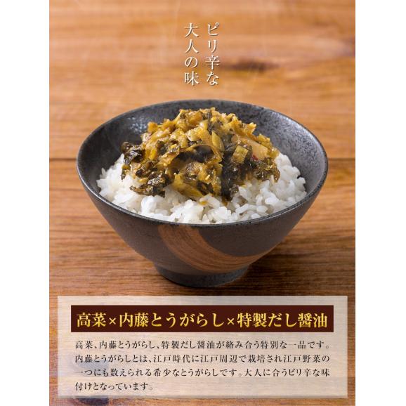 辛子高菜 ごま高菜 2種 食べ比べセット 計 400g 本場 九州産 国産 高菜漬け たかな ご飯のお供 ≪1-5営業日以内に発送予定(土日祝除く)≫04