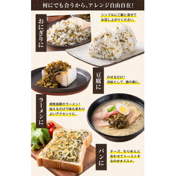 辛子高菜 ごま高菜 2種 食べ比べセット 計 400g 本場 九州産 国産 高菜漬け たかな ご飯のお供 ≪1-5営業日以内に発送予定(土日祝除く)≫05