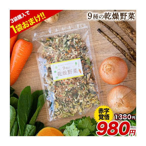 【賞味期限間近のため10/20~10/23まで最終セール実施中!】 乾燥野菜 9種 国産野菜 ミックス 国産 無添加 熊本県産 100g 野菜セット 《1-5営業日以内に発送予定(土日祝除く)》01