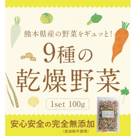 乾燥 野菜 9種 国産野菜 ミックス 国産 無添加 熊本県産 100g みそ汁の具 フリーズ ドライ 野菜セット スープ 味噌汁 インスタント やさい 野菜 健康 《7-14営業日以内に出荷予定》02