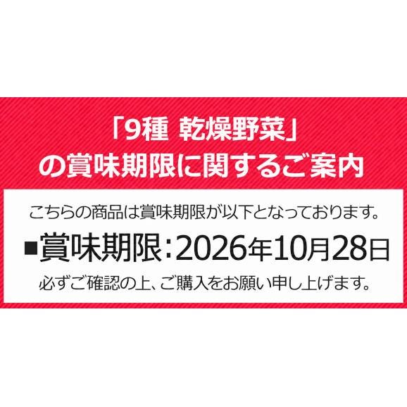 乾燥野菜 9種 国産野菜 ミックス 国産 無添加 熊本県産 100g みそ汁の具 エアドライ 野菜セット スープ 味噌汁 インスタント 保存食 熊本  《1-5営業日以内に発送予定(土日祝除く)》02