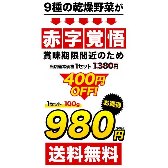 【賞味期限間近のため10/20~10/23まで最終セール実施中!】 乾燥野菜 9種 国産野菜 ミックス 国産 無添加 熊本県産 100g 野菜セット 《1-5営業日以内に発送予定(土日祝除く)》02