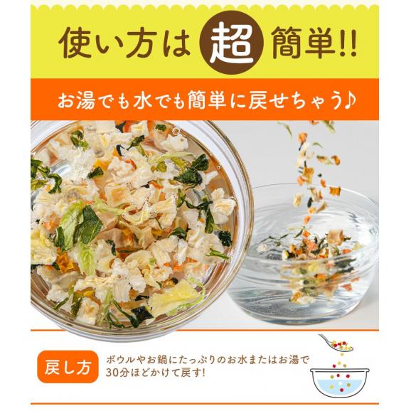 乾燥 野菜 9種 国産野菜 ミックス 国産 無添加 熊本県産 100g みそ汁の具 フリーズ ドライ 野菜セット スープ 味噌汁 インスタント やさい 野菜 健康 《7-14営業日以内に出荷予定》03
