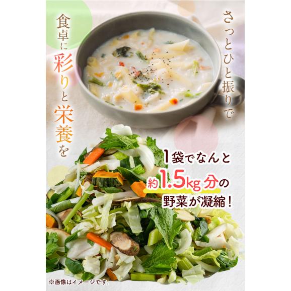 乾燥野菜 9種 国産野菜 ミックス 国産 無添加 熊本県産 100g みそ汁の具 エアドライ 野菜セット スープ 味噌汁 インスタント 保存食 熊本  《1-5営業日以内に発送予定(土日祝除く)》04