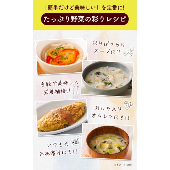 乾燥 野菜 9種 国産野菜 ミックス 国産 無添加 熊本県産 100g みそ汁の具 フリーズ ドライ 野菜セット スープ 味噌汁 インスタント やさい 野菜 健康 《7-14営業日以内に出荷予定》04