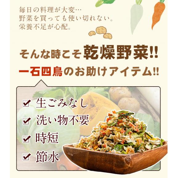 乾燥野菜 9種 国産野菜 ミックス 国産 無添加 熊本県産 100g みそ汁の具 エアドライ 野菜セット スープ 味噌汁 インスタント 保存食 熊本  《1-5営業日以内に発送予定(土日祝除く)》05