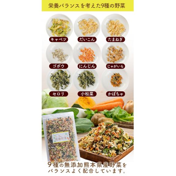 乾燥 野菜 9種 国産野菜 ミックス 国産 無添加 熊本県産 100g みそ汁の具 フリーズ ドライ 野菜セット スープ 味噌汁 インスタント やさい 野菜 健康 《7-14営業日以内に出荷予定》05