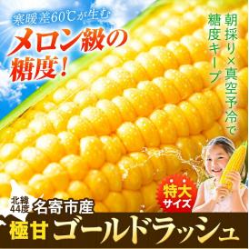 最大7本おまけ トウモロコシ 送料無料 ゴールドラッシュ 極甘 特大サイズ 朝採り BBQ