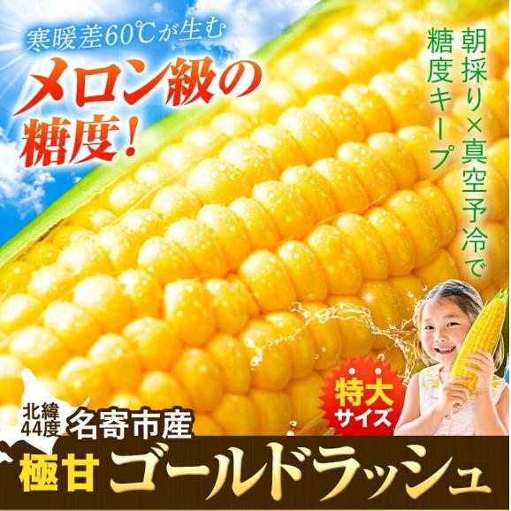 ゴールドラッシュ 名寄市 6本入り 350〜400g 朝採り フルーツコーン 送料無料 とうもろこし スイートコーン 極甘 お取り寄せ 北海道産《8月中旬-9月上旬頃より発送予定(土日祝除く01