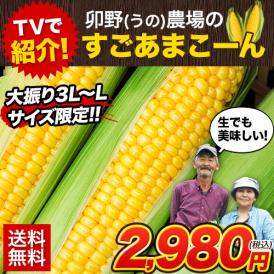 卯野農場 の すごあまこーん 5本入り 3L~L サイズ 朝採り 生で食べられる フルーツコーン 送料無料 とうもろこし スイートコーン 恵味 お取り寄せグルメ 九州産 7月上旬～7月中旬頃より発送