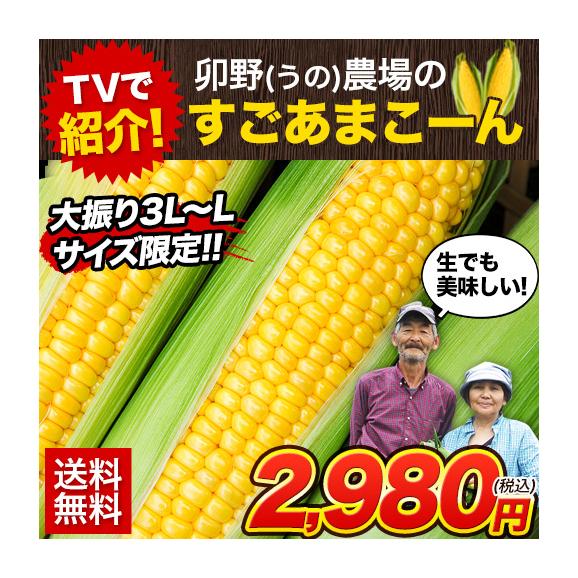 卯野農場 の すごあまこーん 5本入り 3L~L サイズ 朝採り 生で食べられる フルーツコーン 送料無料 とうもろこし スイートコーン 恵味 お取り寄せグルメ 九州産 7月上旬～7月中旬頃より発送01