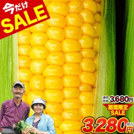 とうもろこし 高糖度 20 増量 特典付き トウモロコシ  フルーツコーン 甘い 野菜