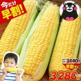 【今なら早割＆最大777円OFF！！】 日本最速出荷 スイートコーン 7本入り (3L~L サイズ)  とうもろこし セット購入でおまけ付き 朝採り トウモロコシ 《6月中旬～7月下旬頃より発送予定》