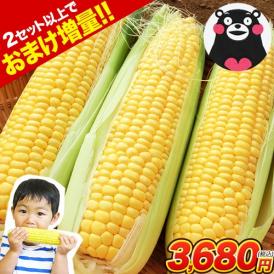 【最大777円OFFクーポン配布！！】 日本最速出荷 スイートコーン 7本入り (3L~L サイズ)  とうもろこし セット購入でおまけ付き 朝採り トウモロコシ 《6月中旬～7月下旬頃より発送予定》