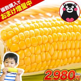 とうもろこし 高糖度 20 増量 特典付き トウモロコシ  フルーツコーン 甘い 野菜