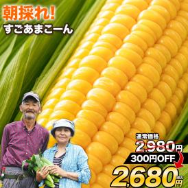 とうもろこし 高糖度 20 増量 特典付き トウモロコシ  フルーツコーン 甘い セール　野菜