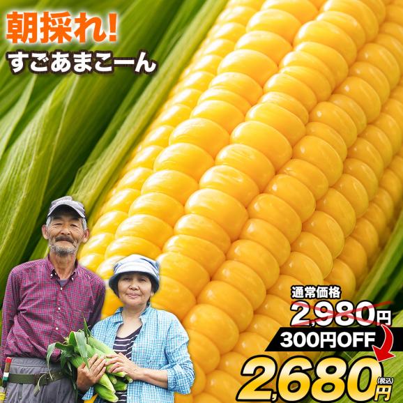 ☆セールで2980円→2680円☆】卯野農場 すごあまこーん 5本入り 3L~L