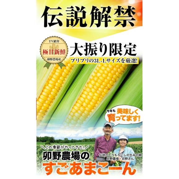 卯野農場 の すごあまこーん 5本入り 3L~L サイズ 朝採り 生で食べられる フルーツコーン 送料無料 とうもろこし スイートコーン 恵味 お取り寄せグルメ 九州産 7月上旬～7月中旬頃より発送02