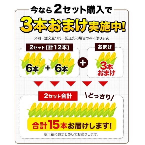 ゴールドラッシュ 名寄市 6本入り 350〜400g 朝採り フルーツコーン 送料無料 とうもろこし スイートコーン 極甘 お取り寄せ 北海道産《8月中旬-9月上旬頃より発送予定(土日祝除く03