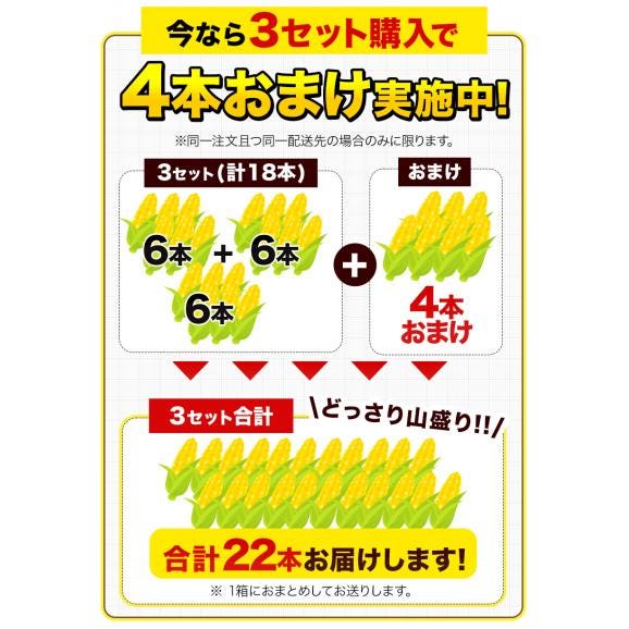ゴールドラッシュ 名寄市 6本入り 350〜400g 朝採り フルーツコーン 送料無料 とうもろこし スイートコーン 極甘 お取り寄せ 北海道産《8月中旬-9月上旬頃より発送予定(土日祝除く04