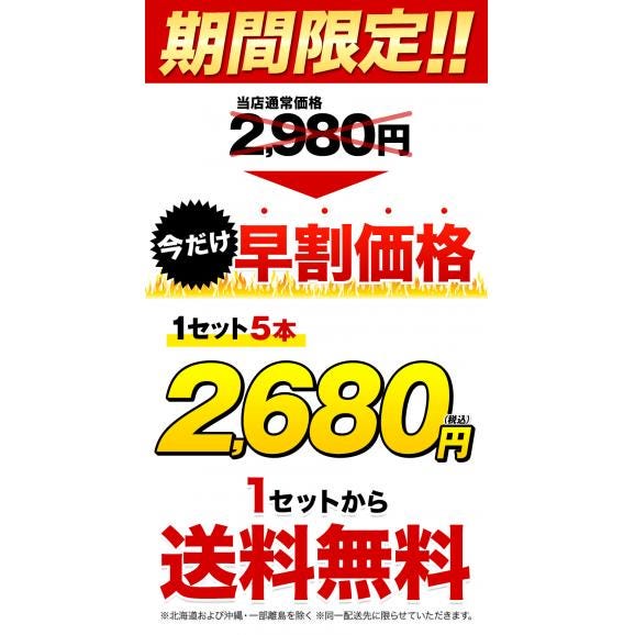 【★5/27 11:59まで早割価格★】 とうもろこし スイートコーン 5本入り (3L~L サイズ) 朝採り 生で食べられる 送料無料 ゴールドラッシュ 《6月中旬〜7月上旬頃より発送予定》04
