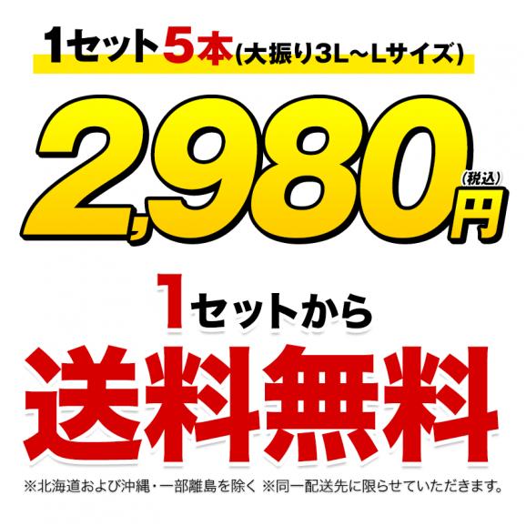 卯野農場 の すごあまこーん 5本入り 3L~L サイズ 朝採り 生で食べられる フルーツコーン 送料無料 とうもろこし スイートコーン 恵味 お取り寄せグルメ 九州産 7月上旬～7月中旬頃より発送03