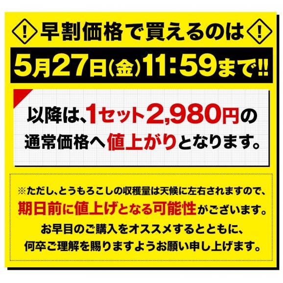 【★5/27 11:59まで早割価格★】 とうもろこし スイートコーン 5本入り (3L~L サイズ) 朝採り 生で食べられる 送料無料 ゴールドラッシュ 《6月中旬〜7月上旬頃より発送予定》05
